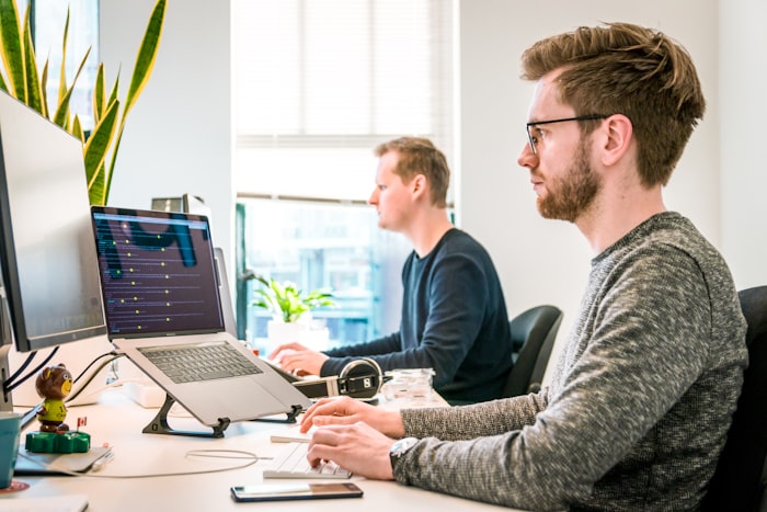 Zevy Team Working